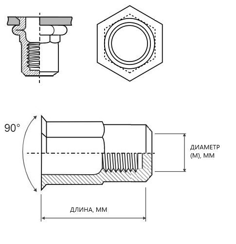 Заклепка резьбовая уменьшенный бортик закрытая полушестигранная M3 (Длина 15,5mm) А2